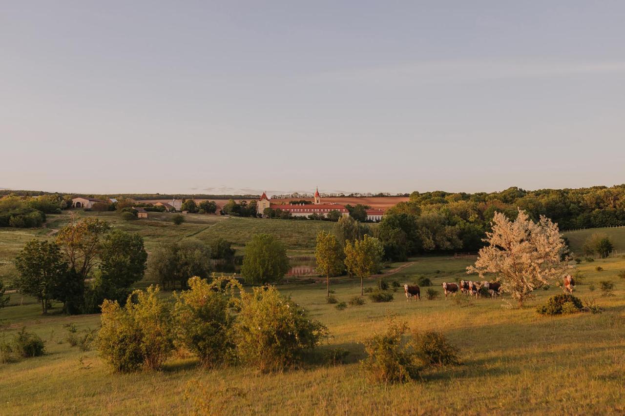 Hotel Chateau Bela Экстерьер фото