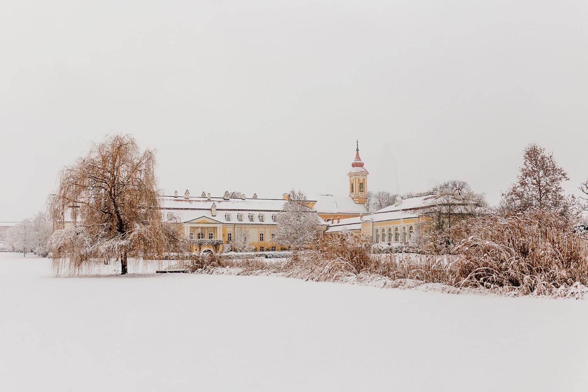 Hotel Chateau Bela Экстерьер фото